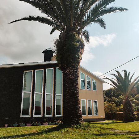 Palmtree 37 Al Daire Praia da Vitória Dış mekan fotoğraf