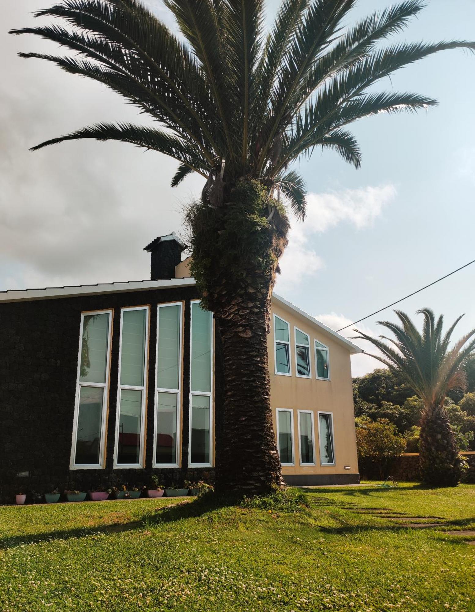 Palmtree 37 Al Daire Praia da Vitória Dış mekan fotoğraf